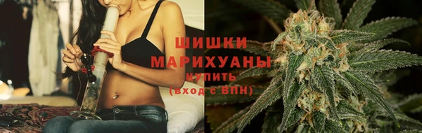спайс Арсеньев