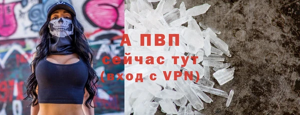 спайс Арсеньев