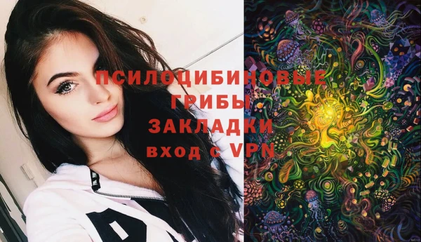 спайс Арсеньев