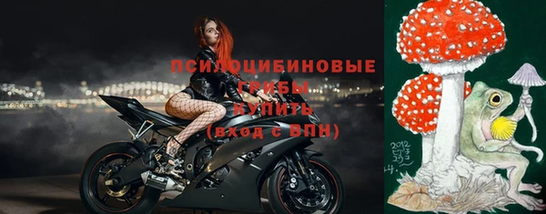 спайс Арсеньев