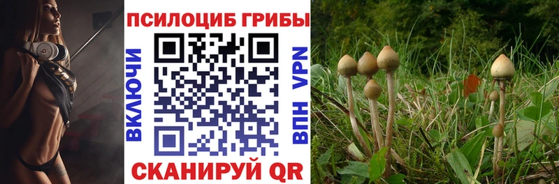 Галлюциногенные грибы GOLDEN TEACHER  Починок 